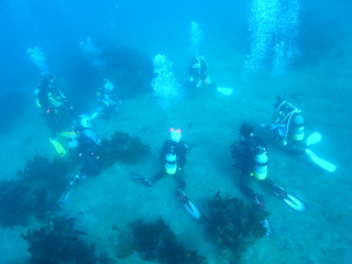 M0020875