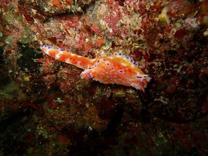 P9190112