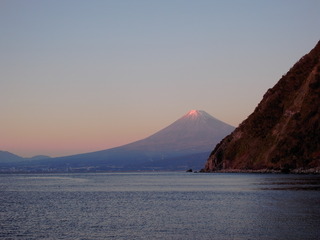 M0020790