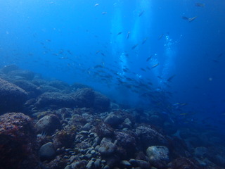 P1270018