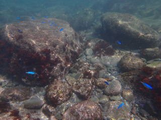 P7020530