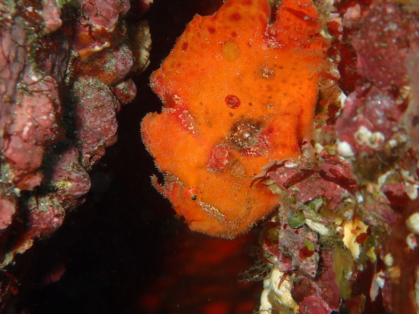 P7290207