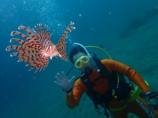 P4290156