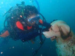 P8260076