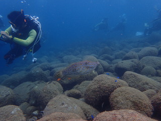 PA010970