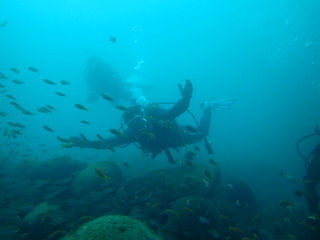 PB080172