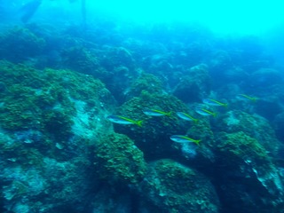 タカベ