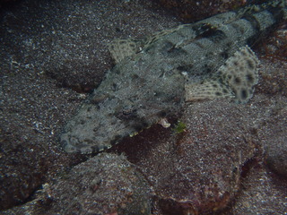 P6240016