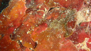 P4010161