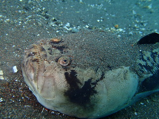PA050339