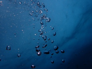 P4110040