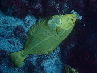 PB290224