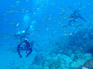 P1240010