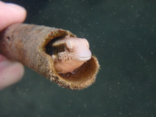 PA210277