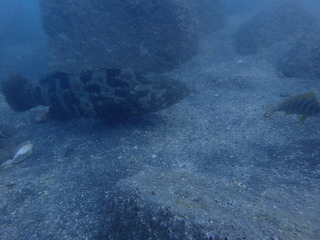 P8260060