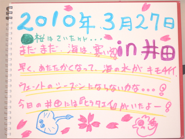 ダイビング感想