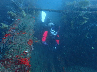 P2070185