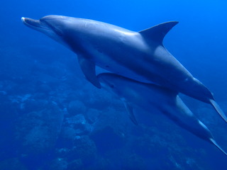 P7230759