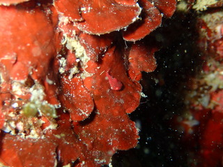 P3280058