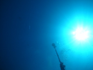 M1052248