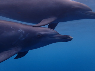 P9270436
