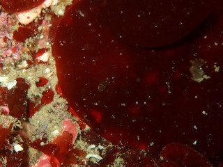 P3050063