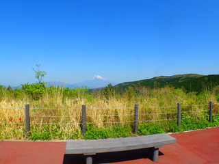 P5020032
