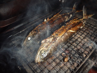 P7040403