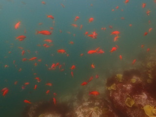 P5020048