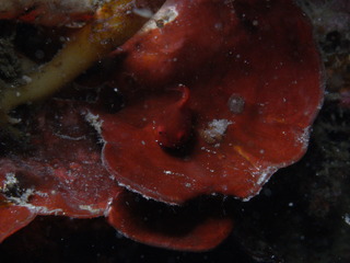 M0101879