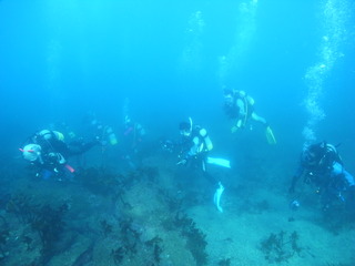M0020522