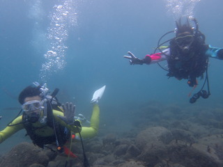 PA110045