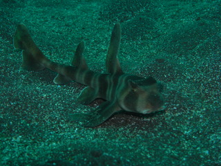 M0011340
