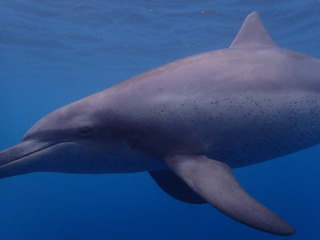P9270377