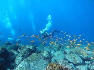 M0015597