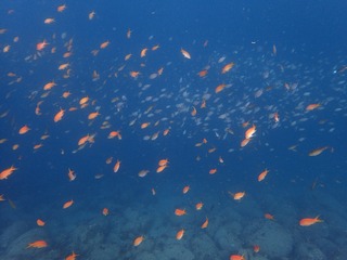 P4300359
