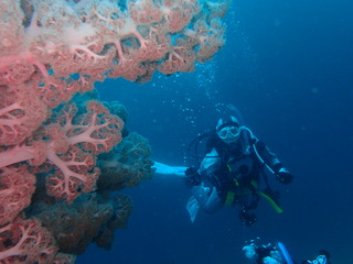 P6280085