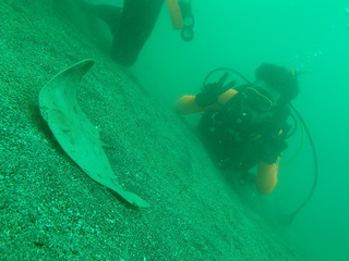 P7060145