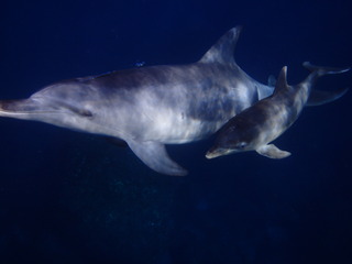 P5170294