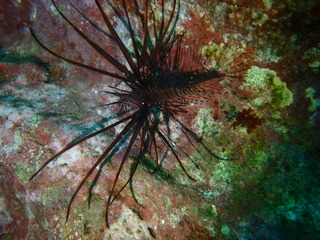 PB030160