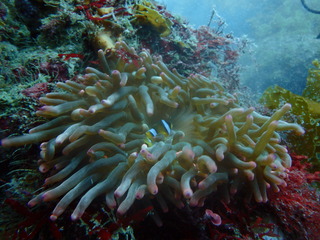 P6280204
