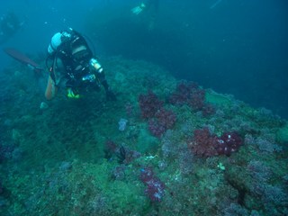ファンダイブ 堂ヶ島12.13