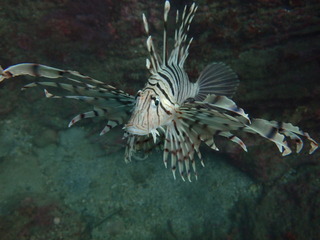 PB030180