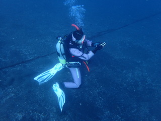 PC270195