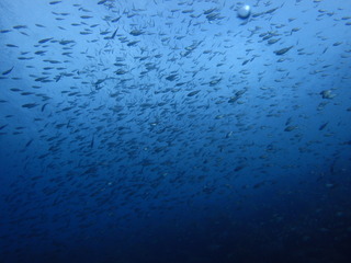 P2250337