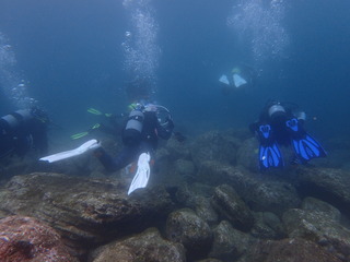 PC310025