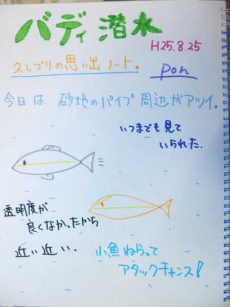 DSCF6402