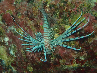 P2060163