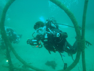 P4290066