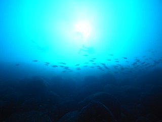 M0020627